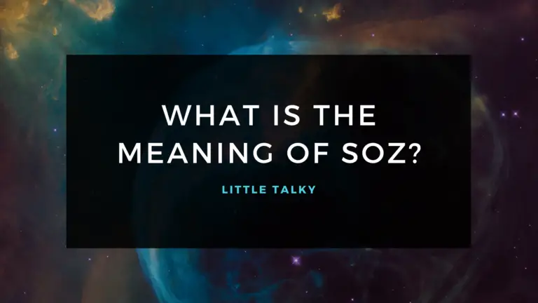 What Does SOZ Mean? – SOZ Meaning