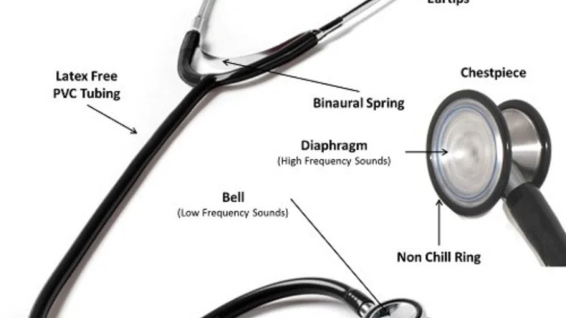 Fonendi: The Digital Revolution in Medical Auscultation